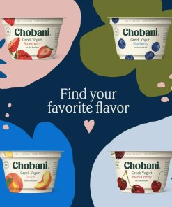 CHOBANI NONFAT GREEK YOGURT WITH FRUIT ON THE BOTTOM STRAWBERRY & BLUEBERRY & PEACH & BLACK CHERRY PACK 20/5.3 OZ