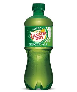 CANADA DRY GINGER ALE PLASTIC BOTTLES 24/20 OZ