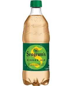 SEAGRAM'S GINGER ALE PLASTIC BOTTLES 24/20 OZ