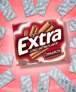 EXTRA GUM CINNAMON LONG LASTING CHEWING GUM 10/15 STICKS