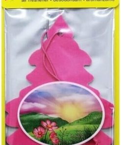 LITTLE TREES CAR AIR FRESHENER – MORNING FRESH – 1/24 CT
