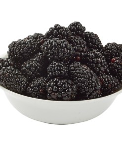 FRESH BLACKBERRIES 1/12 OZ