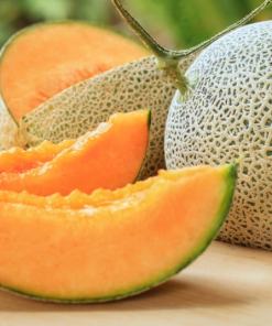 FRESH, SWEET, AND JUICY CANTALOUPE 1/35 LBS